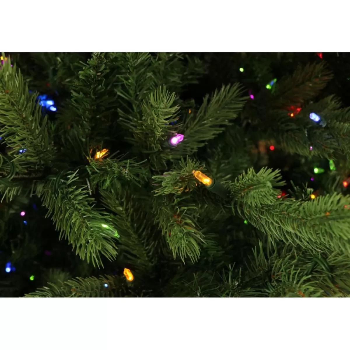 Fraiser Hill Farms Christmas Trees | 9-Ft. Foxtail Pine Christmas Tree With Multi-Color Led String Lighting