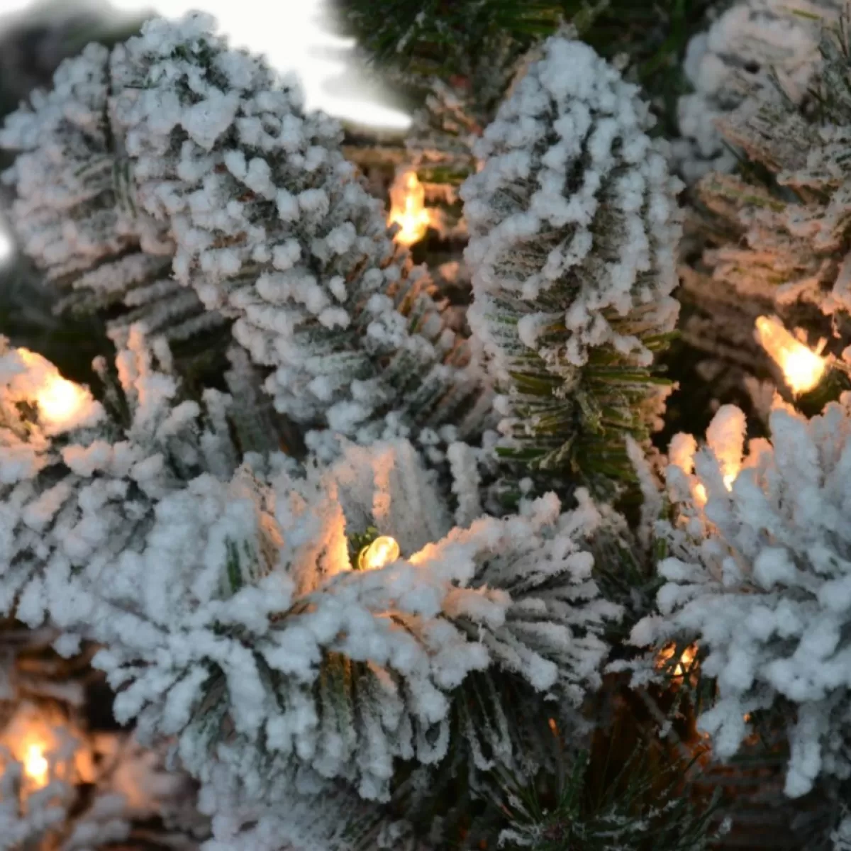 Puelo International Christmas Trees | Puleo International 6' Pre-Lit Flocked Virginia Pine Tree